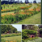 2 Gartenpraxis 6-2012 (3)