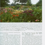 Landscaping with Daylilies (1)