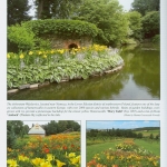 Landscaping with Daylilies tytuł (1)