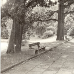 1 - Promenada między stawami, 1989 r., archiw. OB