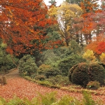 Jesienne barwy w Arboretum w Wojsławicach, HGN