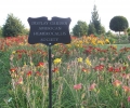 Arboretum w Wojsławicach – Oficjalny Ogród Pokazowy Amerykańskiego Towarzystwa Liliowcowego (American Hemerocallis Society) 2013 r.