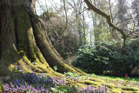 Wiosna 2014 w Arboretum w Wojsławicach