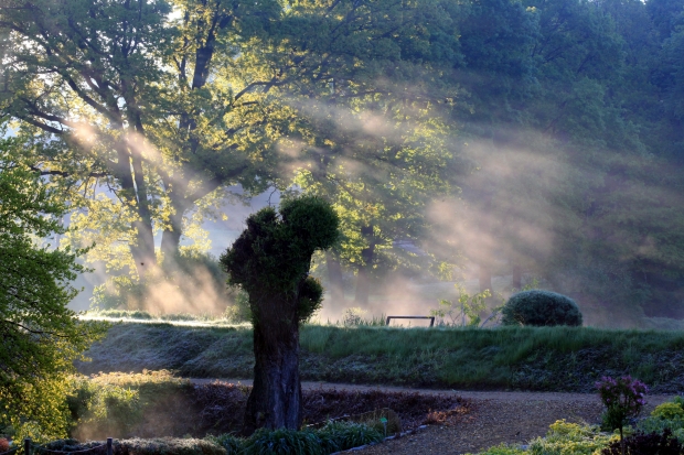 Poranki w wojsławickim Arboretum