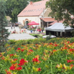IX spotkanie liliowcowych entuzjastów 12–13 lipca 2014 - fot. Hanna Grzeszczak-Nowak