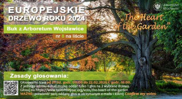 Europejskie Drzewo Roku 2024 !