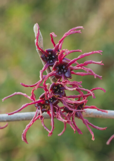 ZIMOWY WEEKEND 13-15 lutego 2026 r.